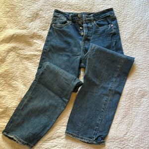 Wild Fable button fly jeans